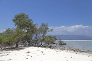 Gili Trawangan adasının güzel okyanus kıyıları, Bali, Endonezya.