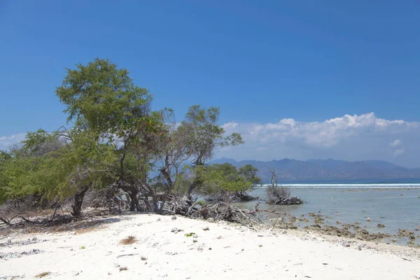 Hermosa Costa Oceánica Isla Gili Trawangan Bali Indonesia — Foto de Stock