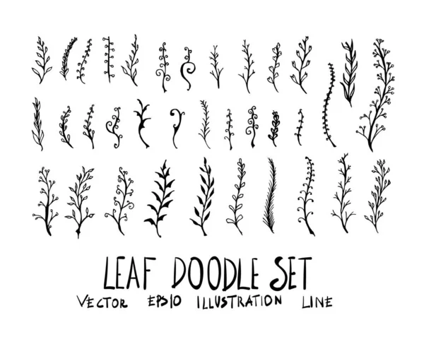 Ensemble Illustration Doodle Feuille Dessinée Main Vecteur Ligne Croquis — Image vectorielle