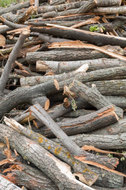 Kesme ağacı ahşap günlükleri