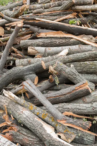Kesme ağacı ahşap günlükleri