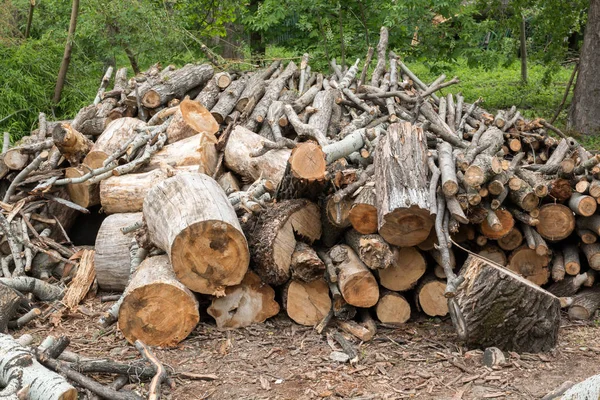 Corte de troncos de madera de árbol — Foto de Stock