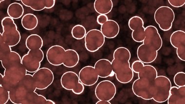 Kan Parlak Hücreleri Dikişsiz Arka Plan Dokular