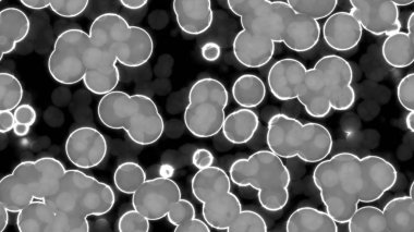 White Luminescent Glowing Cells Seamless Background Textures