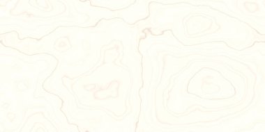 Kesintisiz Beyaz ahşap doku. Kaynak kök ağaç lifleri yön