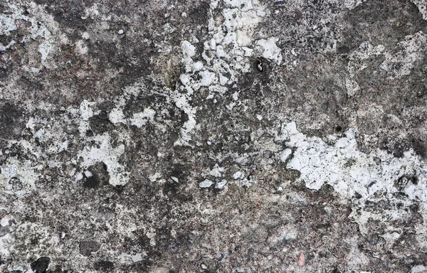 Beton duvar doku yıpranmış. Yaş çimento yapısı.