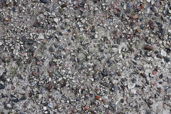 Beton yol doku yıpranmış. Yaş çimento yapısı.