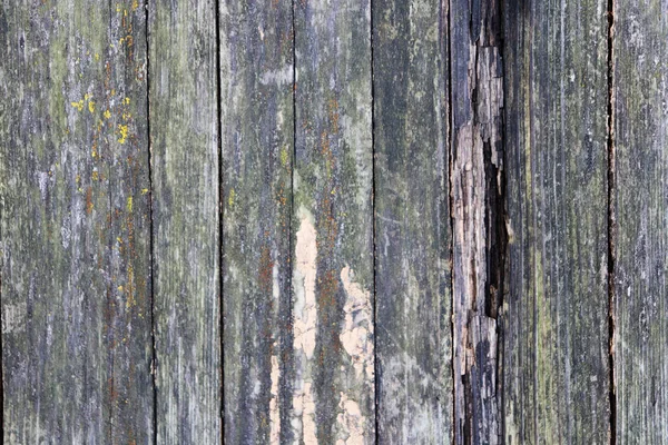 Régi fa textúra. Viharvert fa deszka szerkezete. — Stock Fotó