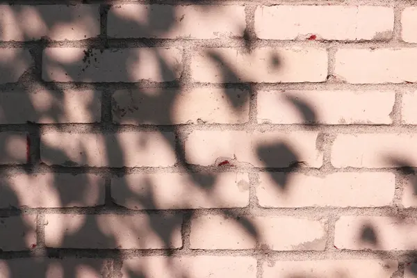 Bakstenen muur met zonnestralen en schaduw van bomen — Stockfoto