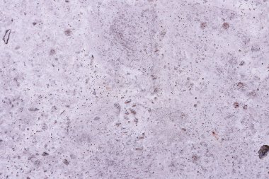 Beyaz boya beton duvar doku