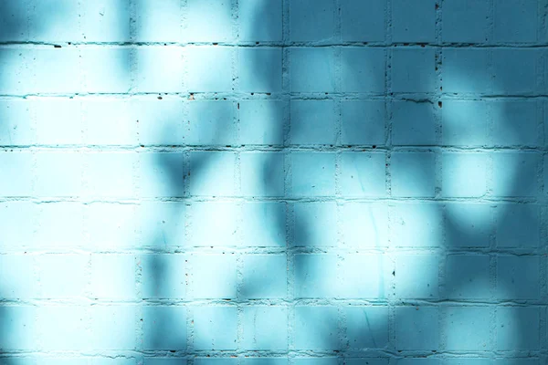 Blauwe beschilderde tegels muur textuur in de stralen van de zon met schaduw van de boom. uw — Stockfoto