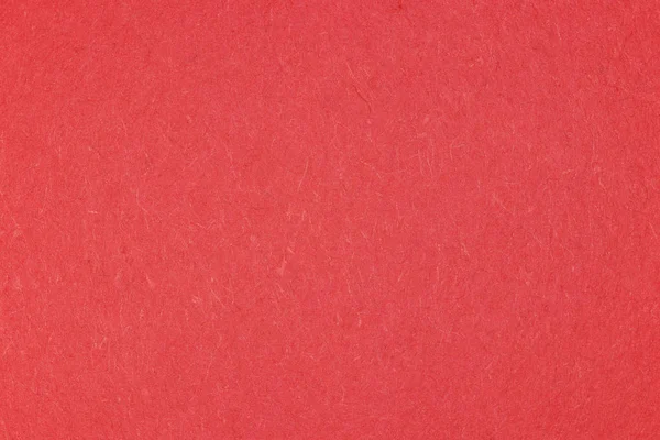 Flamingo kağıt arka plan dokusu