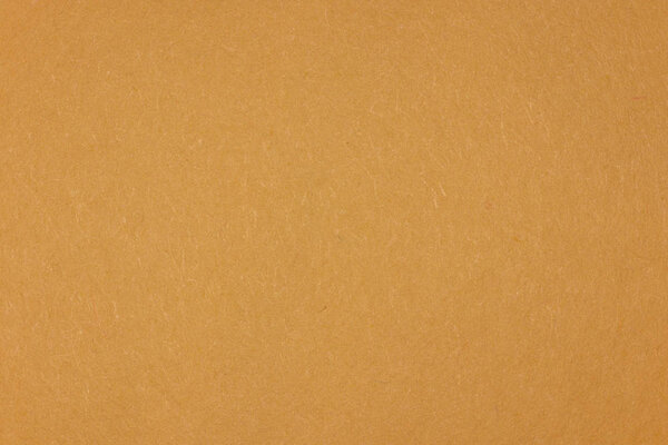 Almond Paper Background Texture