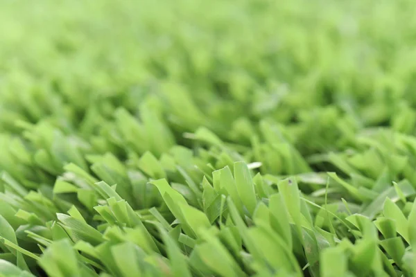 Verde trama erba artificiale con sfondo sfocato. Moderna s — Foto Stock