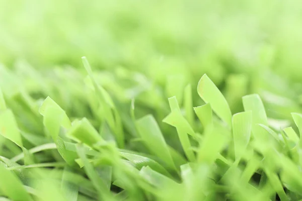 Green artificial grass texture with blurred background. Modern s — Stock Photo, Image