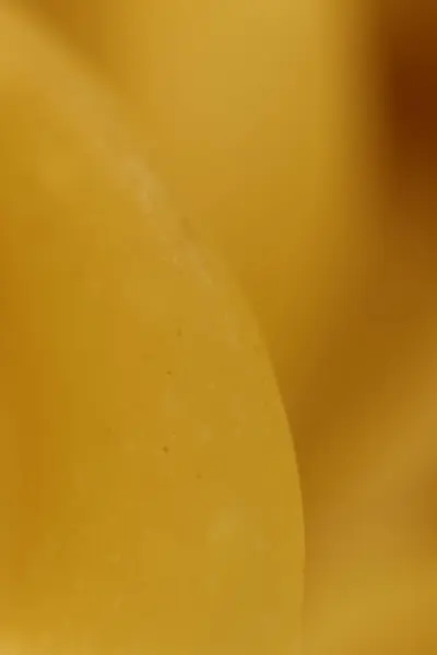 Spiraal Macaroni Macro close-up. Achtergrondstructuur. — Stockfoto