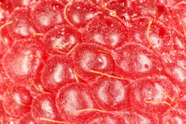 Ahududu makro portre. Doku arka plan. Su damlaları.