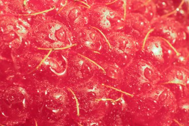 Ahududu makro portre. Doku arka plan. Su damlaları.