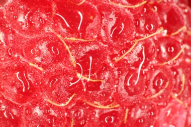 Ahududu makro portre. Doku arka plan. Su damlaları.