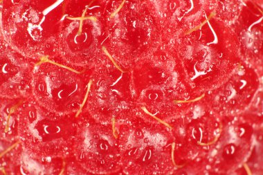 Ahududu makro portre. Doku arka plan. Su damlaları.