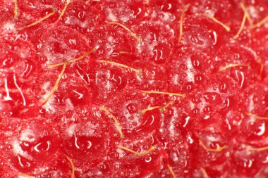 Ahududu makro portre. Doku arka plan. Su damlaları.