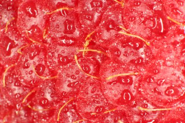 Ahududu makro portre. Doku arka plan. Su damlaları.