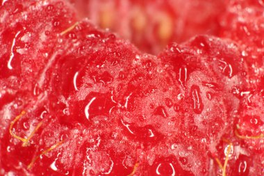 Ahududu makro portre. Doku arka plan. Su damlaları.