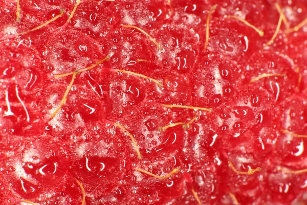 Ahududu makro portre. Doku arka plan. Su damlaları.