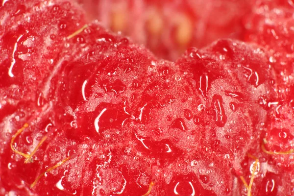 Ahududu makro portre. Doku arka plan. Su damlaları.