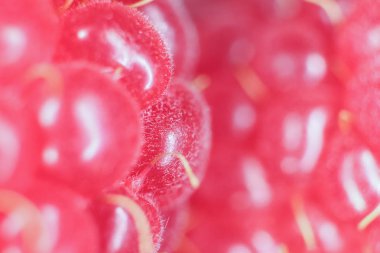 Ahududu makro portre. Doku arka plan.