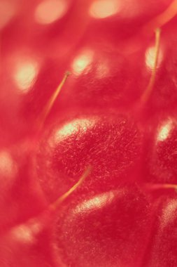 Ahududu makro portre. Doku arka plan.