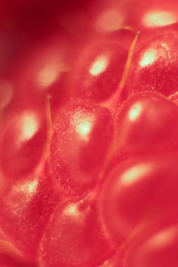 Ahududu makro portre. Doku arka plan.