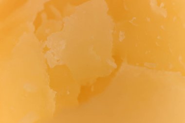 Katı peynir makro portre. Arka plan doku.