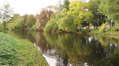Park doğa sakin nehir ağaçlar kıyı ile 
