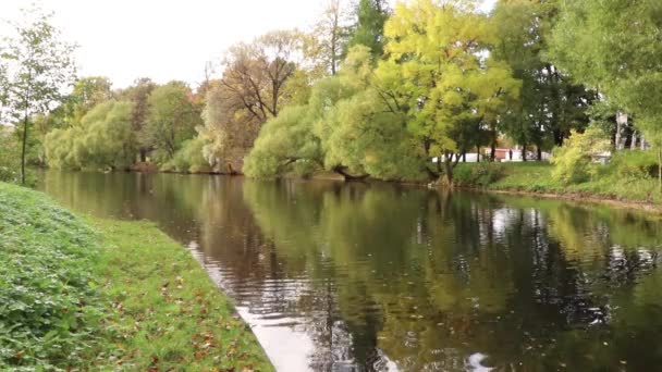 Парк Природа Спокойная река с деревьями Shoreline — стоковое видео