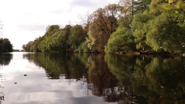 Parc Arbres Côte avec des feuilles flottantes sur la rivière Calm . — Video