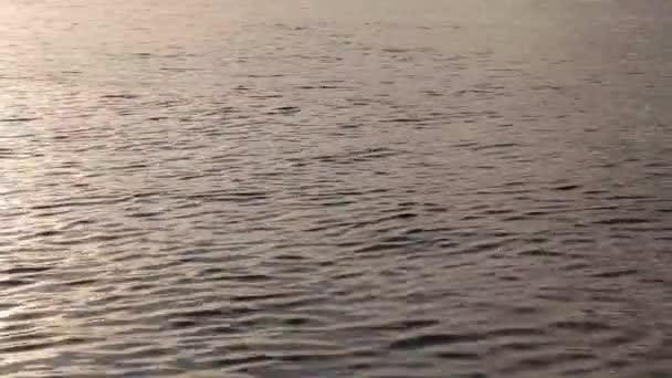 Ondulation de houle Eau de mer Fond de surface 