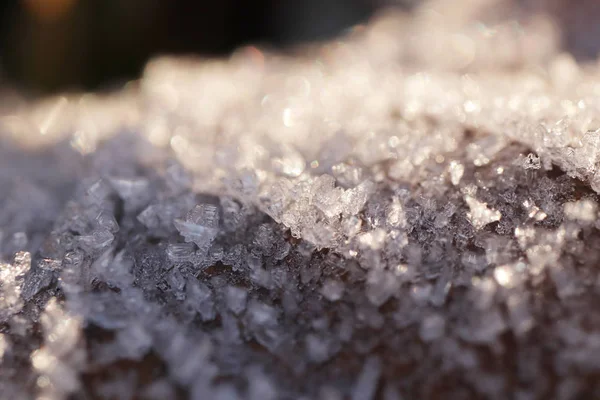 Textura de superfície de folha seca fosca. Frost Ice on Forest Morning. Padrão floral natural Fundo. Macro Closeup . — Fotografia de Stock