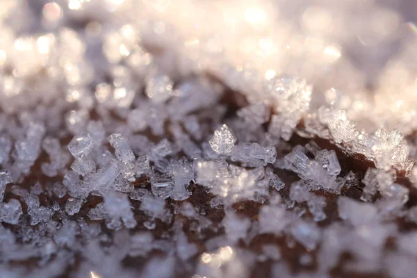 Texture superficie foglia secca smerigliata. Ghiaccio di ghiaccio sulla mattina della foresta. Sfondo floreale naturale del modello. Primo piano macro . — Foto Stock