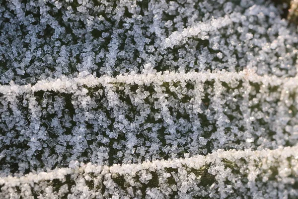 Textura de la superficie de la hoja seca esmerilada. Hielo helado en la mañana del bosque. Fondo de patrón floral natural. Macro Primer plano . — Foto de Stock