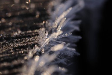 Ayaz kristalleri makro Closeup arka plan ile ilk orman Frost ahşap