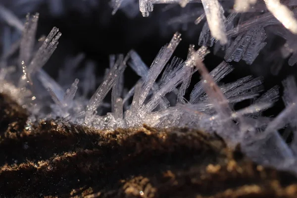 Primeira árvore de geada florestal com cristais gelados Macro Closeup Background — Fotografia de Stock