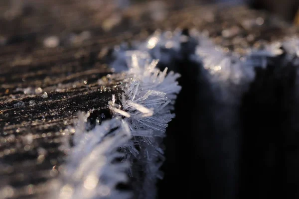 First Forest Frost Wood with Frosty Crystals Macro Closeup Background — Stock Photo, Image