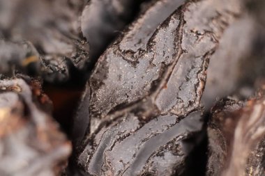 Siyah kuru üzüm doku. Kuru meyve arka plan. Makro bakış.