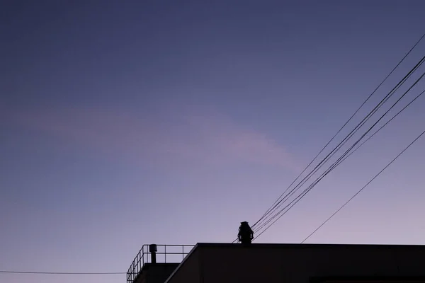 Night City Lights. Paisagem do telhado do edifício vivo. Claro Blue Sky Gradient . — Fotografia de Stock