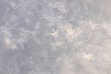 Parlak kar tanesi doku. Makro portre. Soğuk kış arka plan.