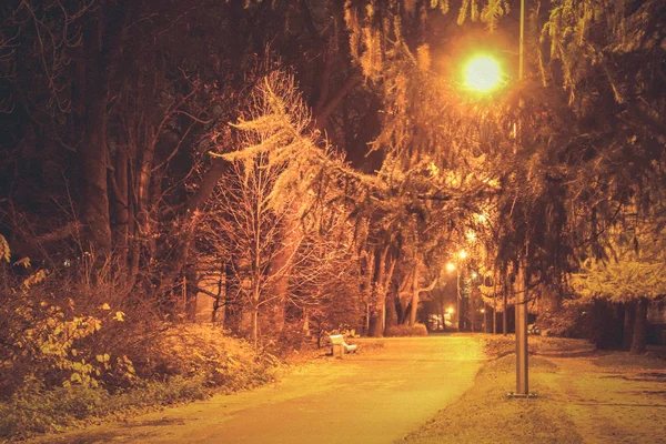 Strada autunnale in un parco forestale. Esposizione notturna . — Foto Stock