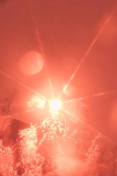 Pêssego místico árvores cobertas de neve com fundo lanterna. Overhanging neve brunches inverno enchimento paisagem. Exposição noturna . — Fotografia de Stock