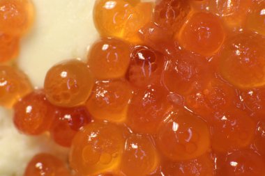 Ekmek ve tereyağında kırmızı havyar. Makro yakın çekim.