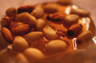 Bal içinde sedir kozalağı tohumları